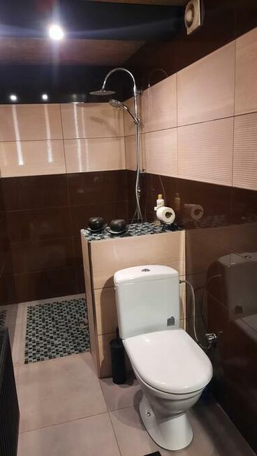 mieszkanie do wynajecia 55m2 / parter domu