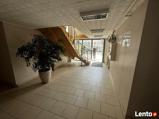 Biuro do wynajęcia od właściciela, bez prowizji, 18 i 26m²