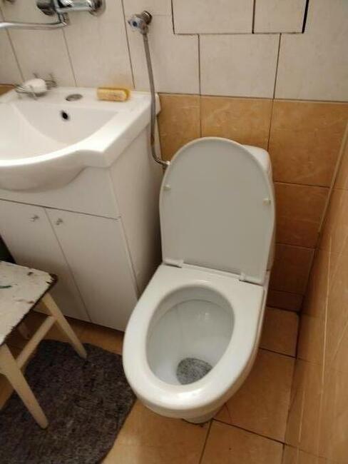 Solidnie sprzątanie i pranie dywanów