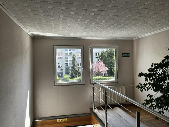 Biuro do wynajęcia od właściciela, bez prowizji, 18 i 26m²