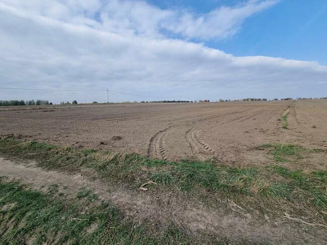 Działki budowlane w Żelechowie, ul. Długa