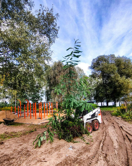 Darniarka | zrywanie darni, trawnika | usługi ogrodnicze