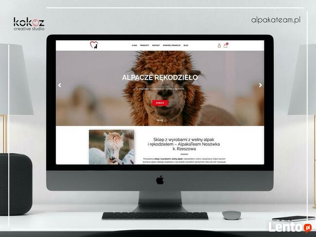 Sklepy internetowe Kraków