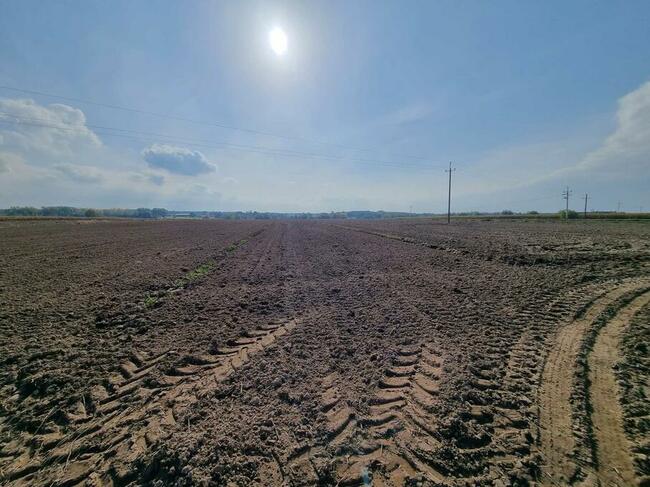 Działki budowlane w Żelechowie, ul. Długa