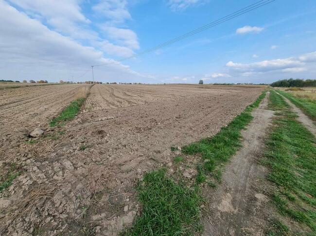 Działki budowlane w Żelechowie, ul. Długa