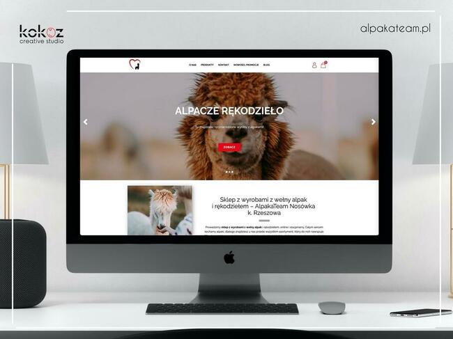 Sklepy Internetowe Mielec