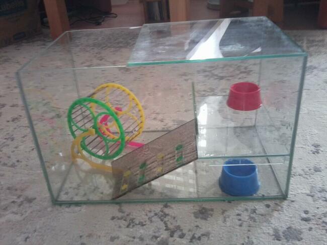 Terrarium Dla Chomika