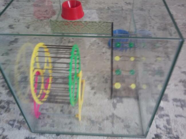 Terrarium Dla Chomika