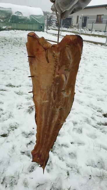 Hak do wędzenia dużych filetów ryb 10 ostrzy INOX