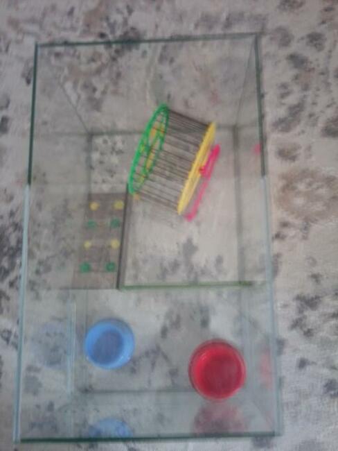 Terrarium Dla Chomika