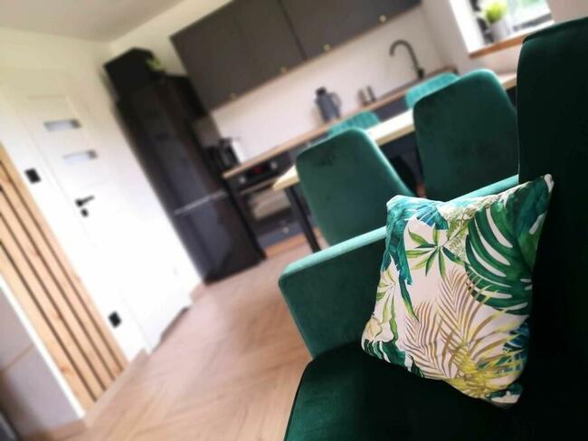 Domek z jacuzzi nad jeziorem.Mazury, balia, kominek