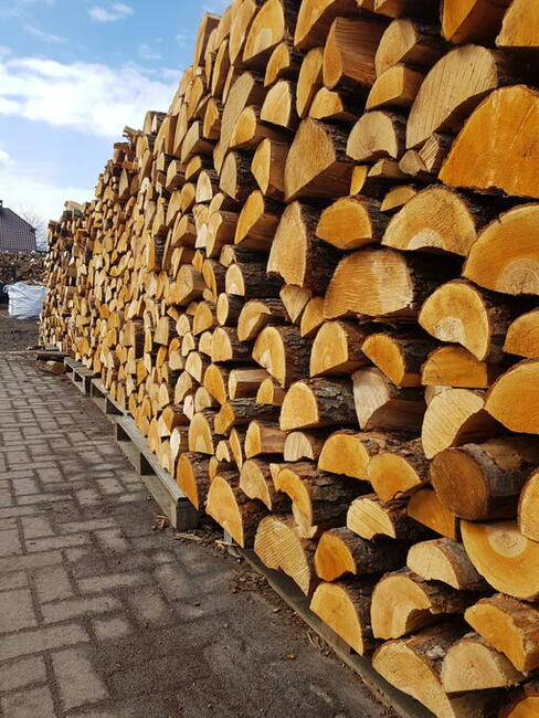 Dąb drewno kominkowe