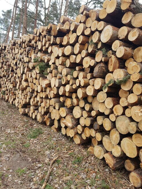 Dąb drewno kominkowe