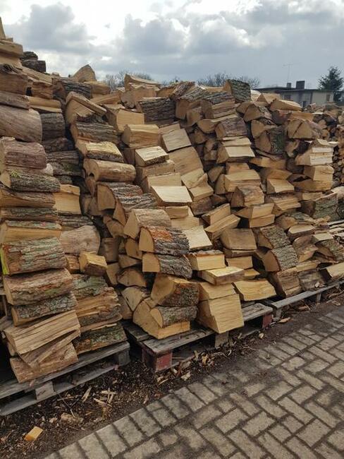 Dąb drewno kominkowe