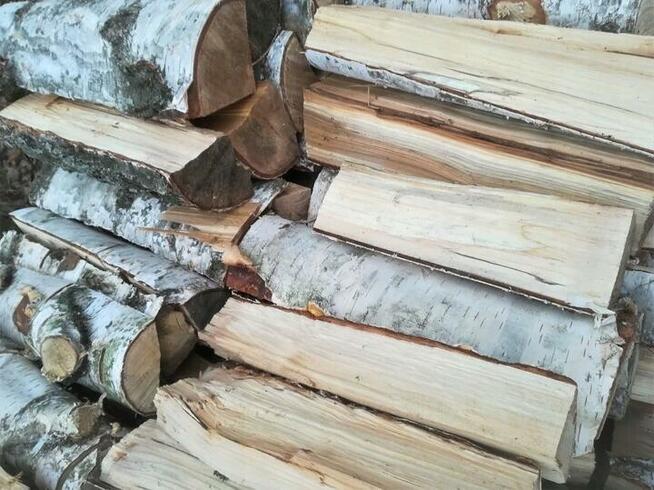 Drewno drzewo opałowe kominkowe gotowe transport