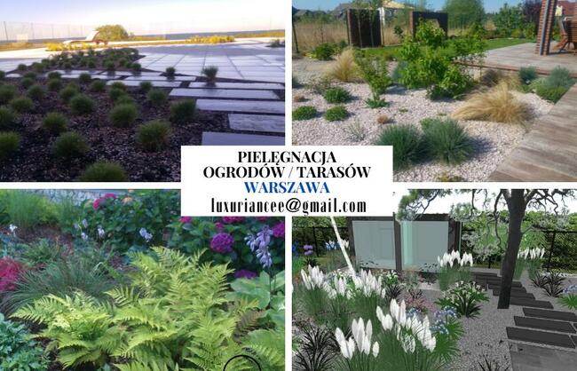 Jednorazowe pielęgnacja i realizacja ogrodu Warszawa