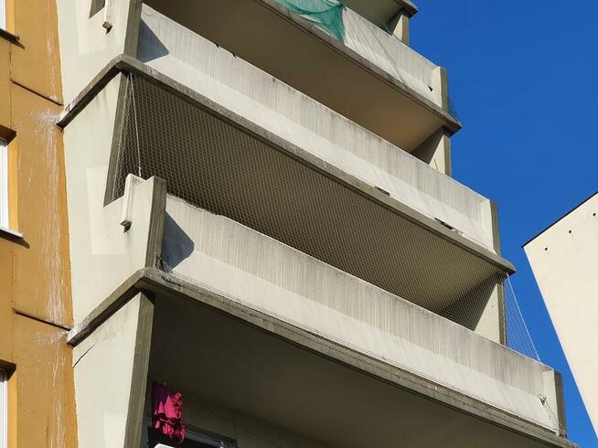 Montaż kolców przeciw ptakom