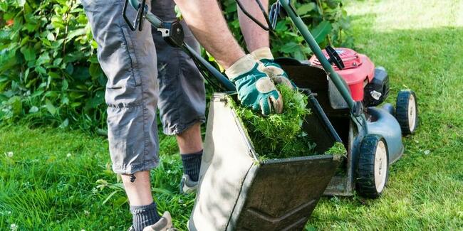 Wycinka-przycinka drzewek owocowych, koszenie traw, pr.ogród