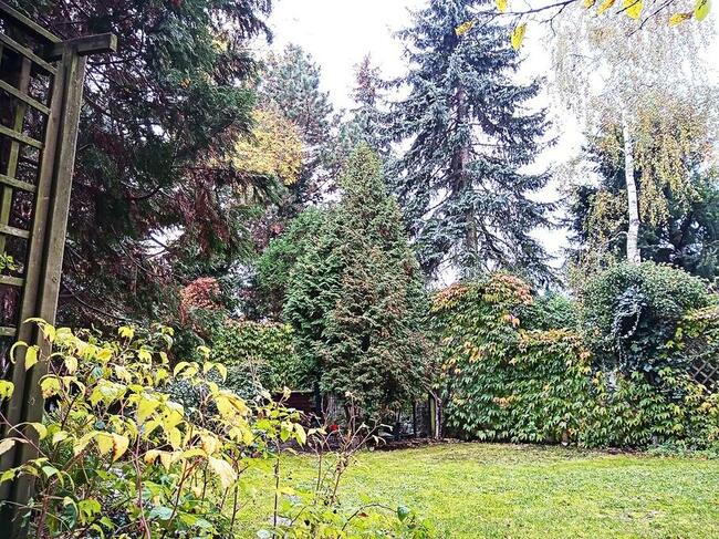 Bezczynszowe mieszkanie Willowe 68 m2 GRABISZYNEK