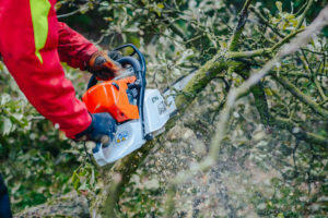 Wycinka-przycinka drzewek owocowych, koszenie traw, pr.ogród