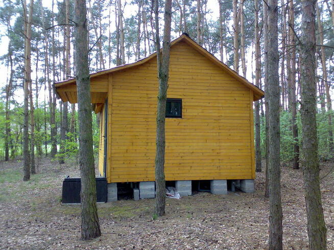 Działka leśna z domkiem + media - dobra lokata