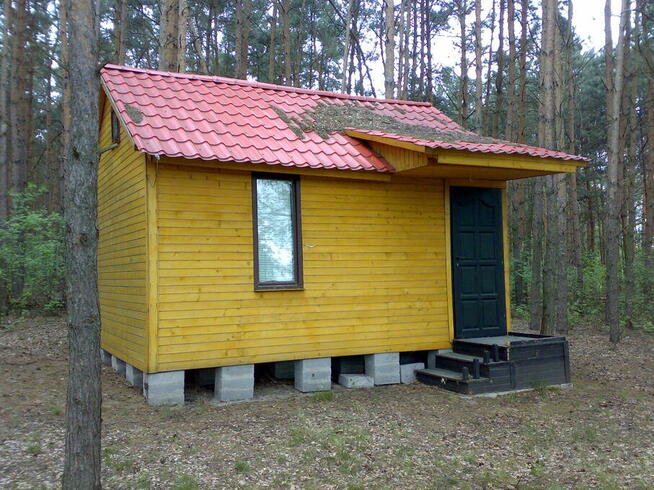 Działka leśna z domkiem + media - dobra lokata