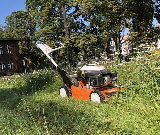 Wycinka-przycinka drzewek owocowych, koszenie traw, pr.ogród