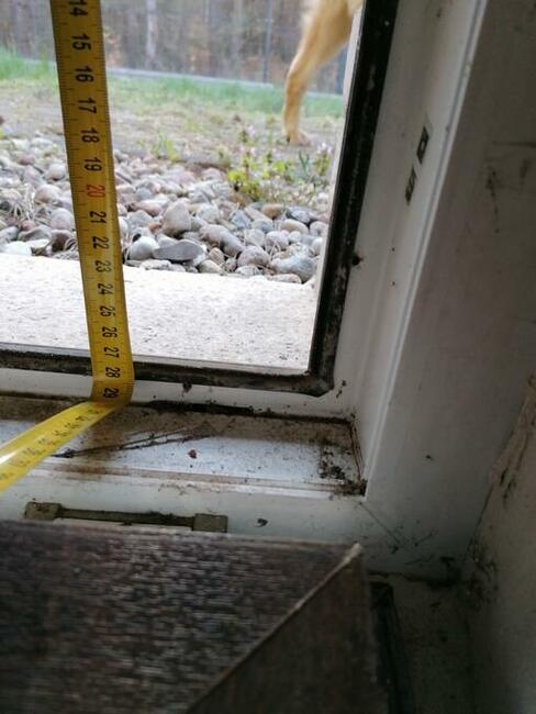 siatki insektowe moskitiery na gryzonie myszy szczury ptaki