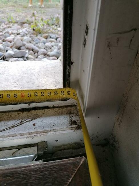 siatki insektowe moskitiery na gryzonie myszy szczury ptaki