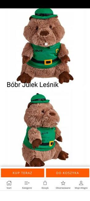 Bóbr Julek Leśnik detektyw ( gang bobrów Auchan 2022)