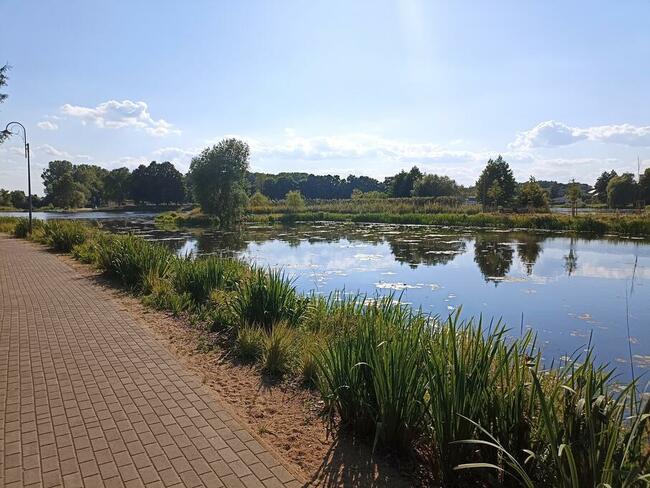 Dom letniskowy działka 1200 m księga wieczysta - właściciel