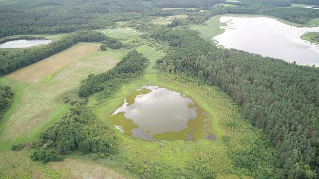 Działka rolna Brzeźno Łyńskie gm. Nidzica