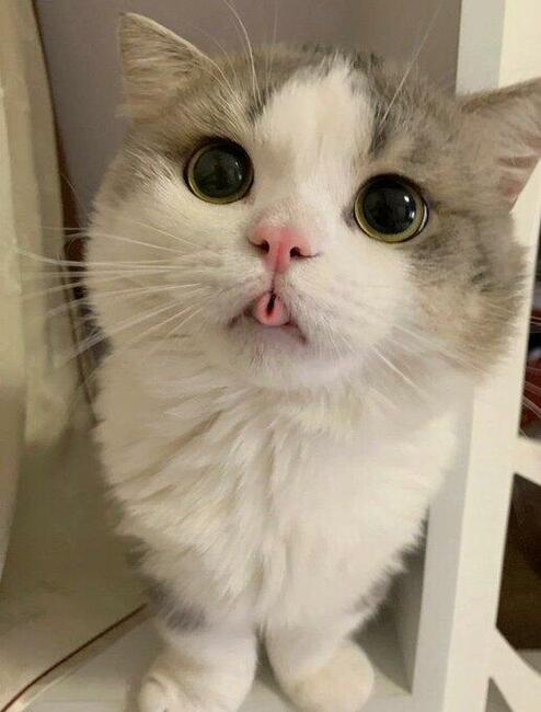 Poznam sympatyczną Panią