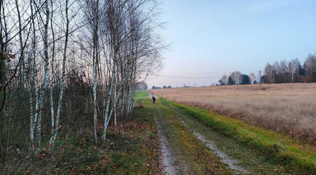 działka budowlana grodzisko gm. żytno pow. radomszczański