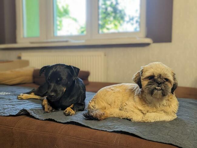 Wituś i Gosia ok.roczne skarby tyko w duecie My dla nich