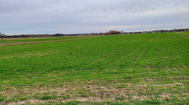 Działka budowlana Krosno gm. Gorzkowice pow. piotrkowski woj