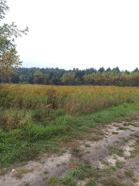 Zawiercie ul. Pomrożycka działkę sprzedam