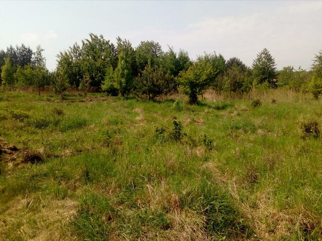 Działka budowlana 1200 m2 Morzęcin Mały+ droga