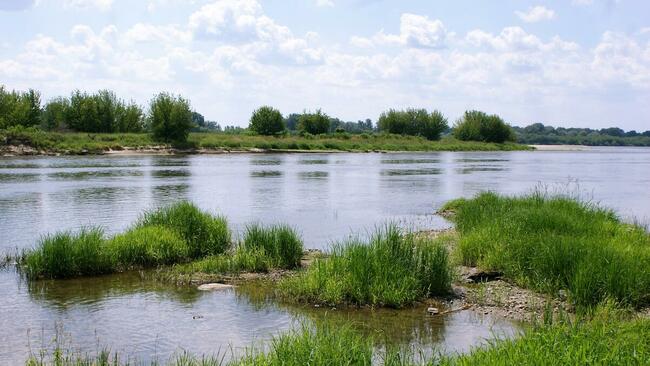 Działki budowlane 6200m2 k/Zakroczymia za 60 zł/m2