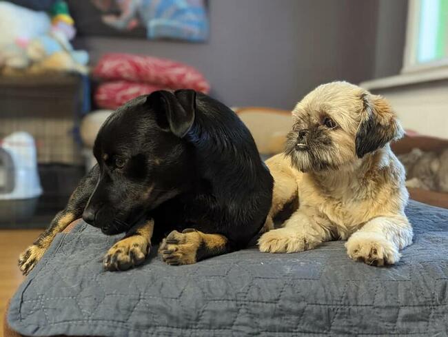 Wituś i Gosia ok.roczne skarby tyko w duecie My dla nich