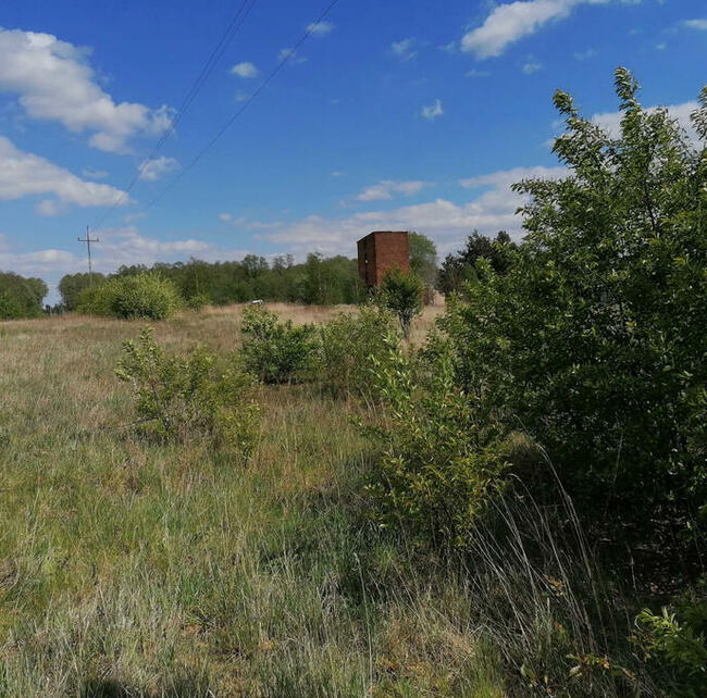 działka budowlana Zamoście gm. Strzelce Wlk. pow. Pajęczańsk
