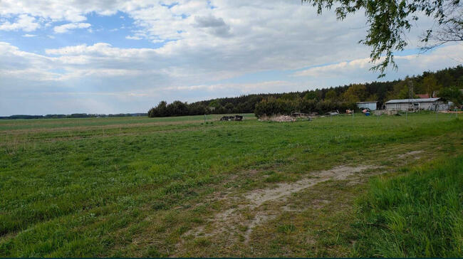 działka budowlana Parcice gmina Czastary powiat Wieruszowski