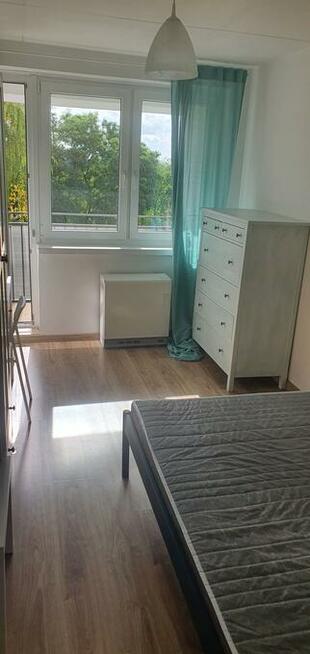 Mieszkanie na wynajem