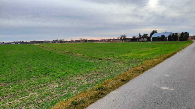 Działka budowlana Krosno gm. Gorzkowice pow. piotrkowski woj