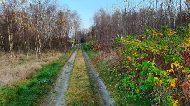 działka budowlana grodzisko gm. żytno pow. radomszczański