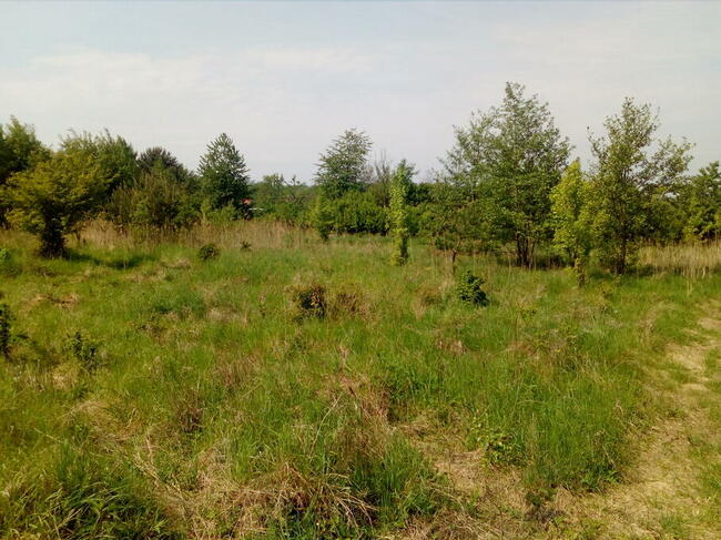 Działka budowlana 1200 m2 Morzęcin Mały+ droga