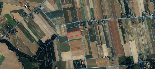Działki budowlane 6200m2 k/Zakroczymia za 60 zł/m2