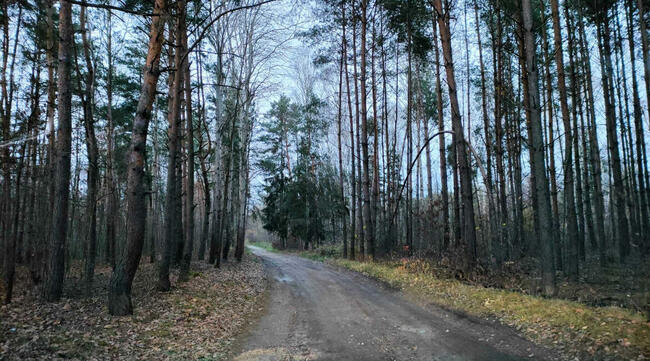 działka budowlana bugaj gmina Żytno powiat radomszczański wo