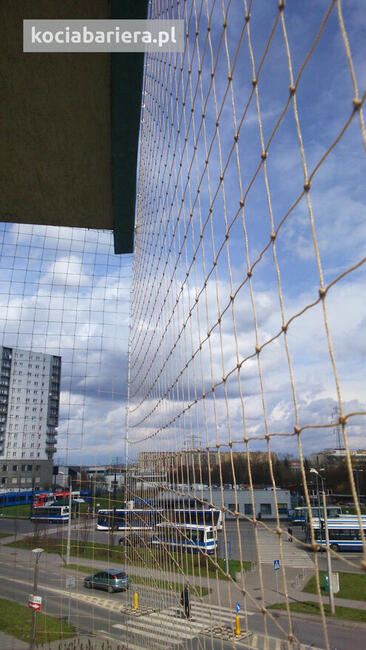 Montaż siatki dl kota na balkonie, kot na balkonie Kraków