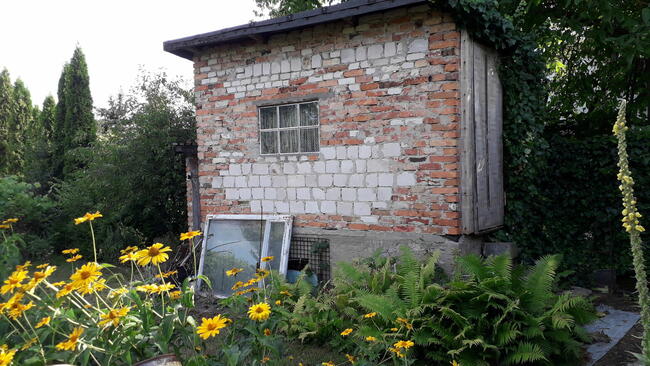 sprzedam działkę ROD